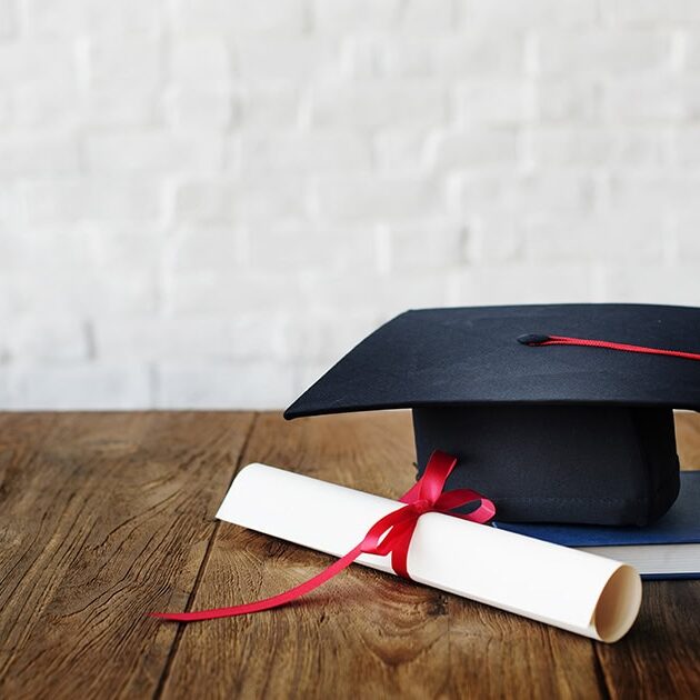 Academic College Degree Education Insight Concept